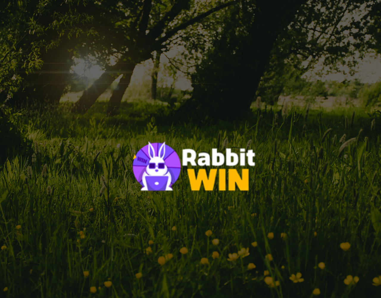 Rabbit Win Casino Review: