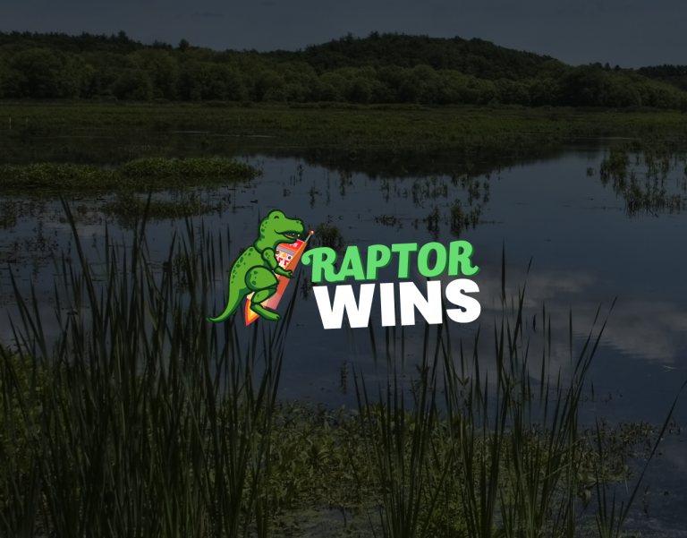 Raptor Wins Casino Review