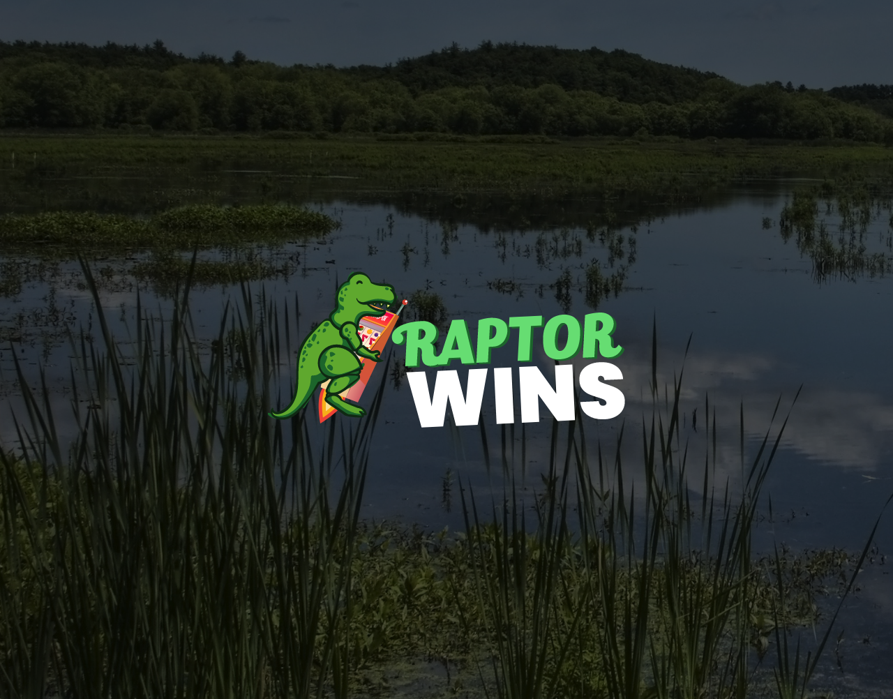 Raptor Wins Casino Review